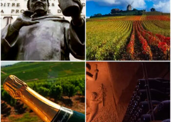 Passeio para Região da Champanhe